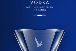 Grey Goose Martini Vap